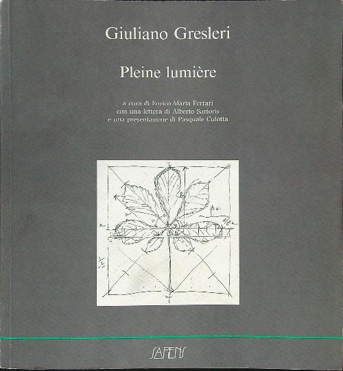 Pleine lumière - Giuliano Gresleri - copertina