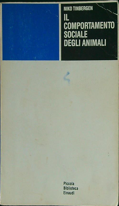 F.E.N. Libreria