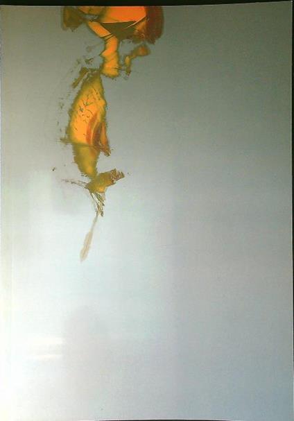 Paul Goodwin oil on steel - elisabetta Longari - copertina