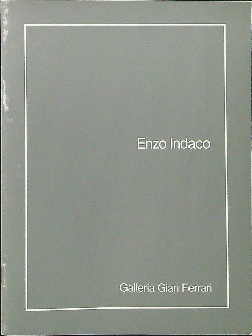 Enzo Indaco