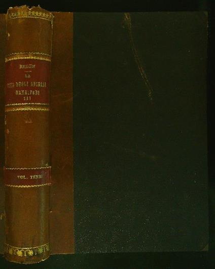 Valensa d'na vota 16/2001 - copertina