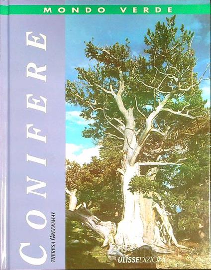 Conifere - Theresa Greenaway - copertina