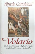 Volario