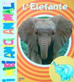 L' Elefante