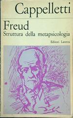 Freud. Struttura della metapsicologia