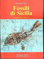 Fossili in Sicilia