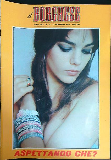 Il borghese n. 45/11 novembre 1973 - copertina