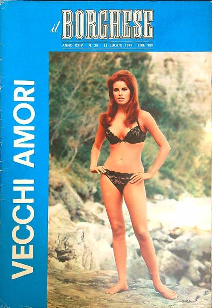 Il Il borghese n. 28/15 luglio 1973 - copertina