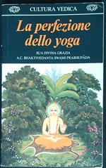La perfezione dello yoga
