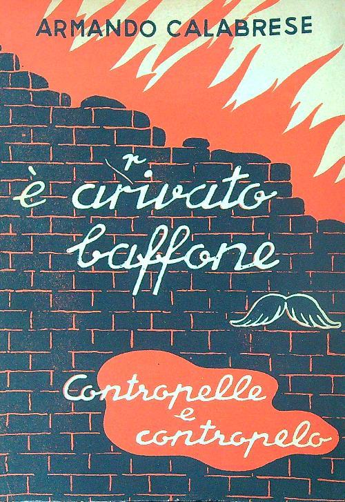 Libro di Faccia