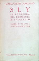 Sly. La leggenda del dormiente risvegliato