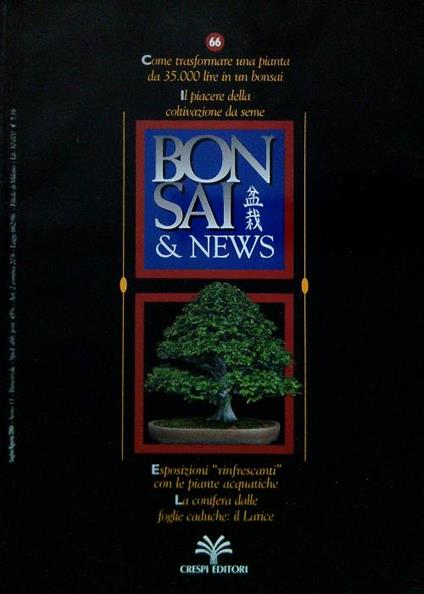 Bonsai & News 66, Luglio Agosto 2001 - copertina