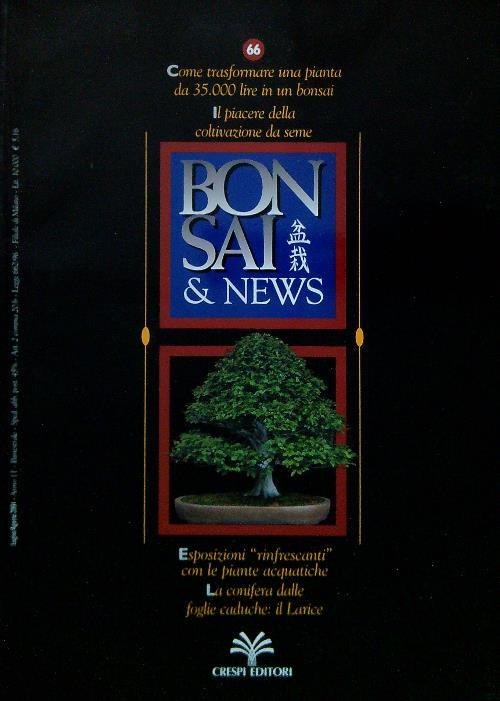 Bonsai & News 66, Luglio Agosto 2001
