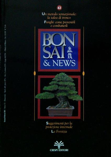 Bonsai & News 63, Gennaio Febbraio 2001 - copertina