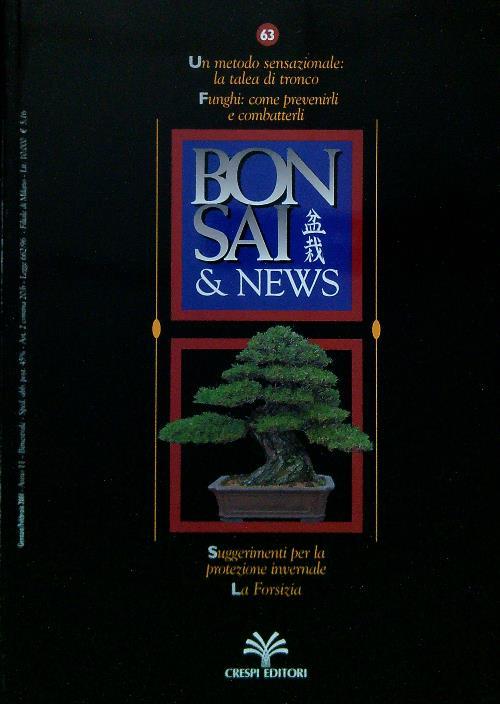 Bonsai & News 63, Gennaio Febbraio 2001 - copertina