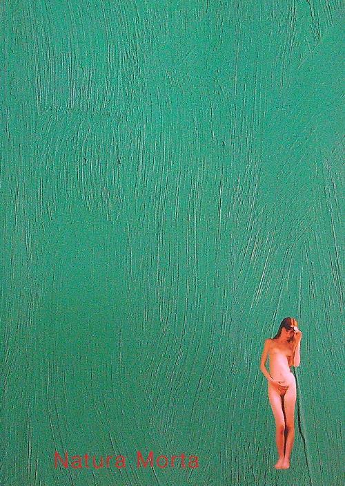 Natura Morta - copertina