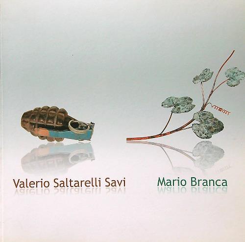 Valerio Saltarelli Savi - Mario Branca