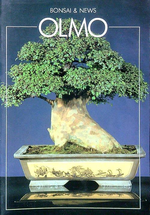 Bonsai & News. Olmo - Jorge Penalba - copertina