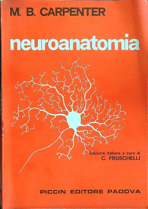 Neuroanatomia