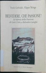 Belvedere, che passione!