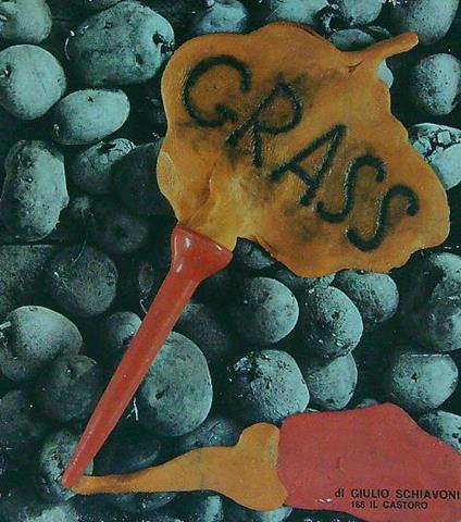 Gunter Grass - Giulio Schiavoni - copertina