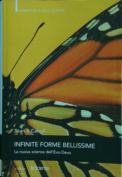 Infinite forme bellissime