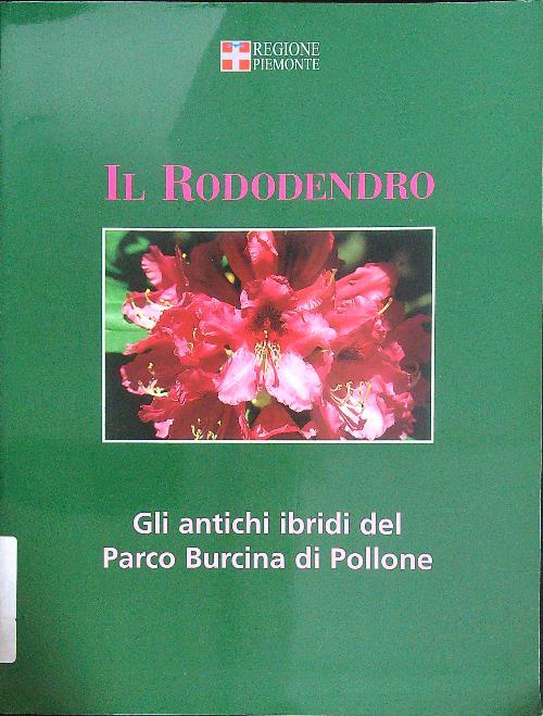 Il rododendro. Gli antichi ibridi del Parco Burcina di Pollone - copertina