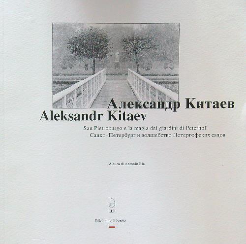 Aleksander Kitaev