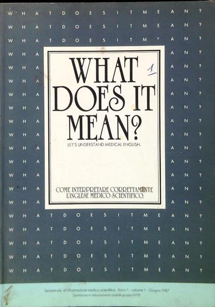 What does it mean? 5 Volumi - Mario Lucchesi - copertina