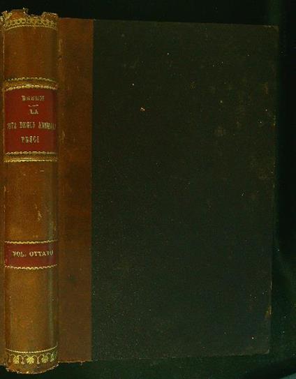 Valensa 'd' na vota - 24/2009 - copertina