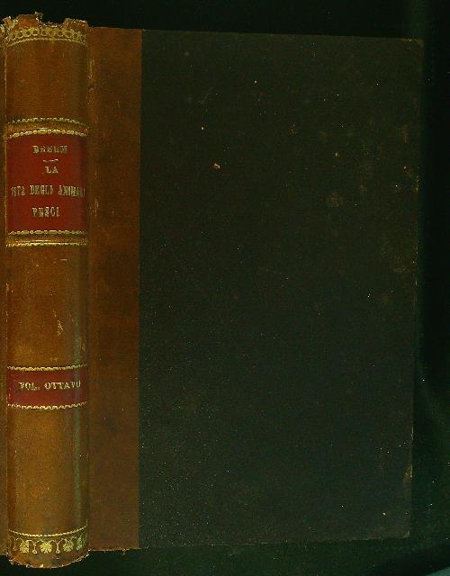 Valensa 'd' na vota - 24/2009 - copertina