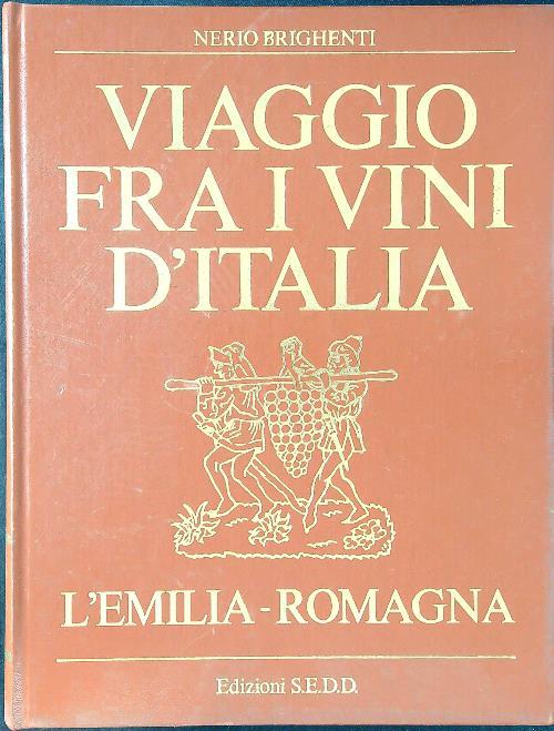 Viaggio fra i vini d'Italia: l'Emilia-Romagna