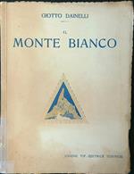 Il Monte Bianco (ai piedi del gigante)