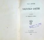 Gli amori di Volfango Goethe