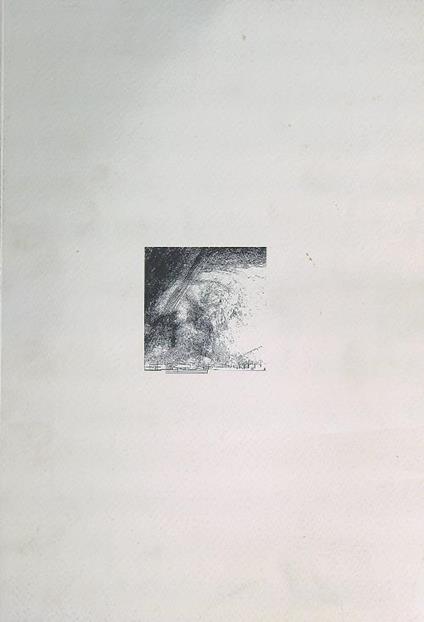 Museumplein di Amsterdam. Premio Internazionale Carlo Scarpa per il Giardino - copertina
