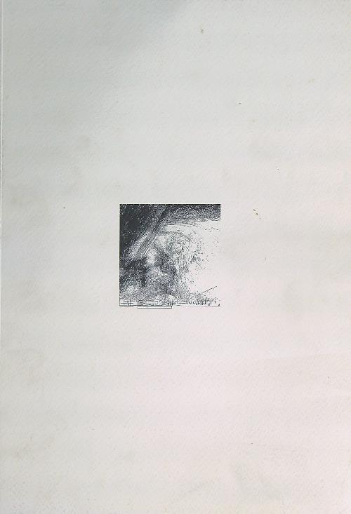 Museumplein di Amsterdam. Premio Internazionale Carlo Scarpa per il Giardino - copertina