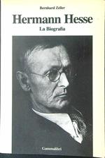 Hermann Hesse La biografia