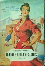 Il fiore della Mirabilis