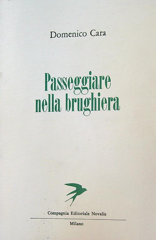 Passeggiare nella brughiera