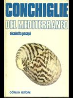Conchiglie del Mediterraneo