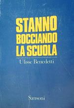 Stanno bocciando la scuola