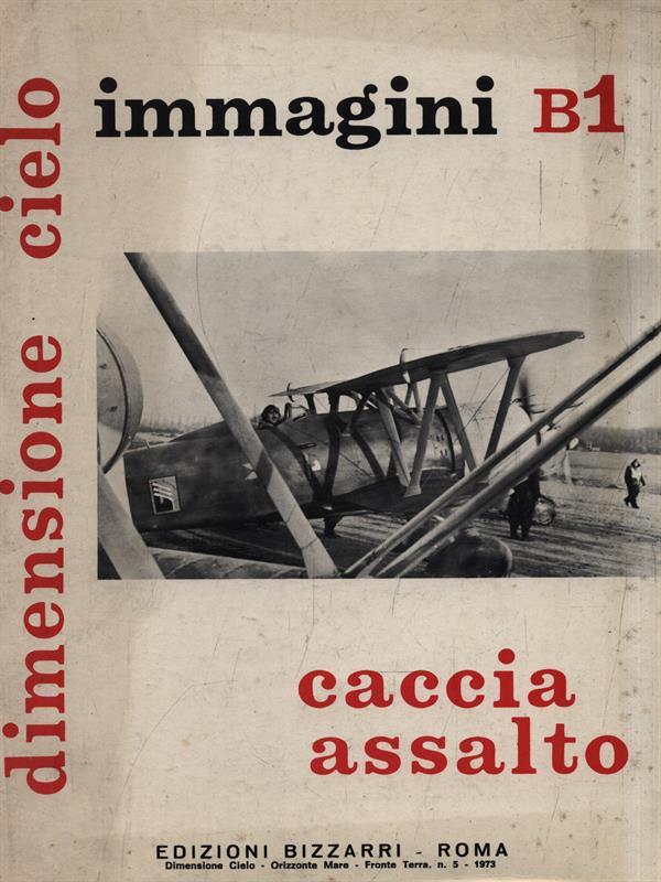 Immagini B1. Caccia assalto