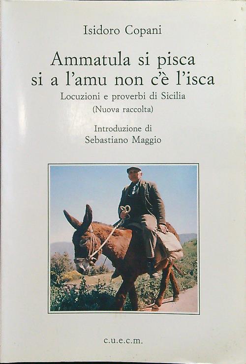 Ammatula si pisca si a l'amo non c'è l'isca