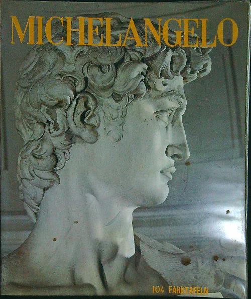 Michelangelo