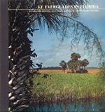 Le Everglades in Florida