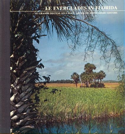 Le Everglades in Florida - copertina