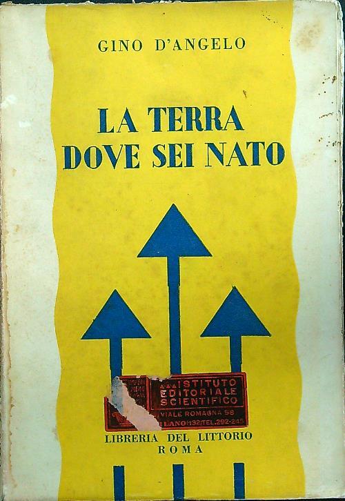 La terra dove sei nato - Gino D'Angelo - copertina