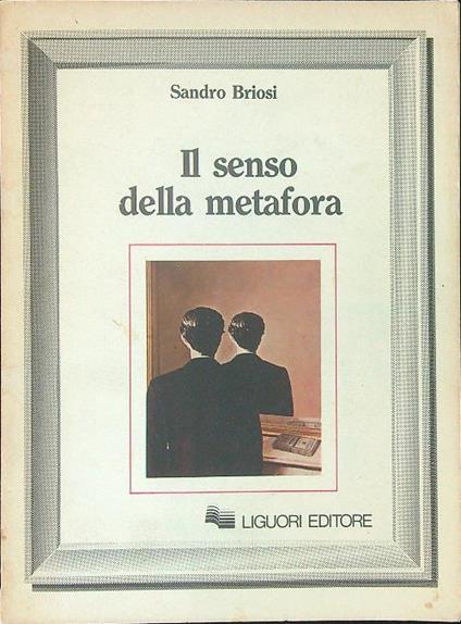 Il  senso della metafora - Sandro Briosi - copertina