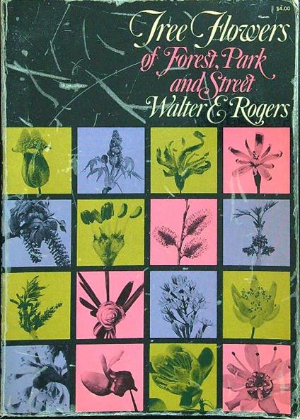 Tree flowers of forest, park and street - Walter - copertina