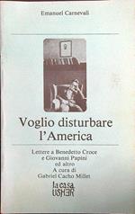 Voglio disturbare l'America